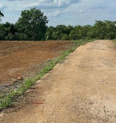 CHÍNH CHỦ 🏬 1.675M² LÔ GÓC ĐẸP MINH LẬP CHỈ 290 TRIỆU/LÔ