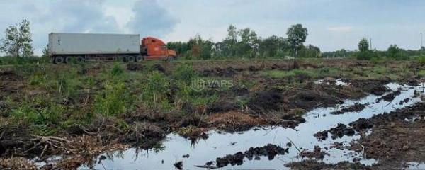 Bán 46.000m2 đất rừng sản 🏚️ xuất quy hoạch lên SKC xã Mỹ Thạnh Đông , Đức Huệ giá 17 tỷ