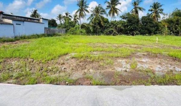 CHÍNH CHỦ BÁN LÔ ĐẤT ĐẸP – Ở BẾN LỨC- LONG 🏠 AN 📍 Vị trí: Mặt đường bê tông 6m