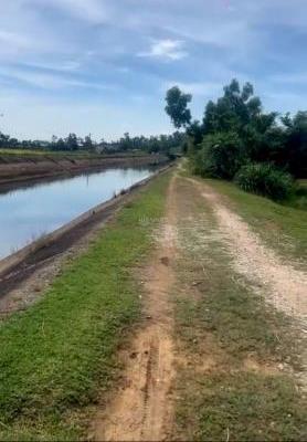 Cần bán Khác 1300m²