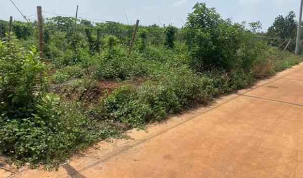 Nhanh tay sở hữu lô đất giá tốt nhất khu vực Biển 🏘️ Hồ – Pleiku!