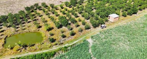 Chủ cần bán Khác 6000m²