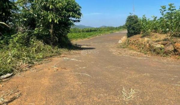 Ngộp NH, bán đất 2,1 🆘 sào hẻm 89 Phùng Hưng - Lộc Tiến - Tp Bảo Lộc - 1,6 tỷ