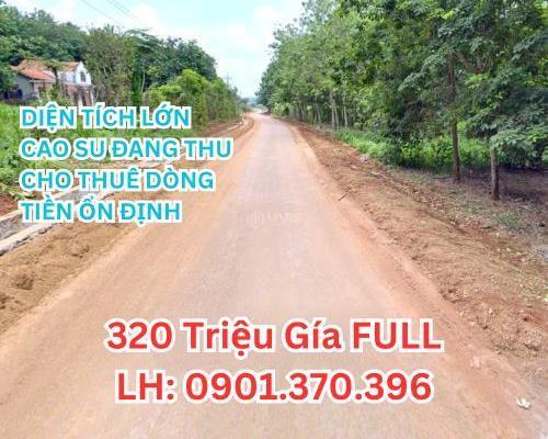 Cần 🔥 Tiền Bán 5.600M2 có thổ cư Sổ Riêng, Nha bích chơn thành 320 triệu