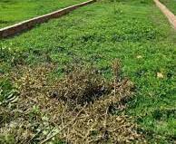 Bán đất 🏢 trục đường TL826 – Gần Chợ Rạch Kiến, Long Hòa