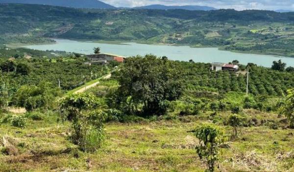 Cần bán Khác 15224m²