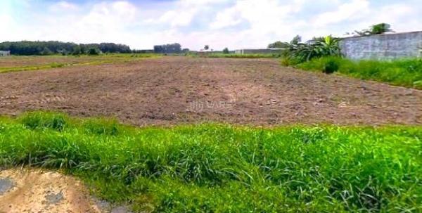 Bán rẻ mặt bằng 🌊 xưởng (50x45=2.249,8m2) 50m mặt tiền nhựa trung tâm Chơn Thành giá 690tr