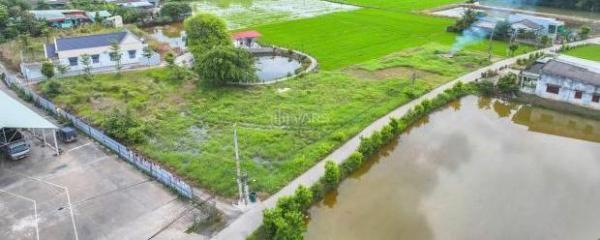 🔥 ĐẤT NỀN TRUNG TÂM BẾN LỨC – LONG AN CHỈ 🏤 2.3 TỶ!