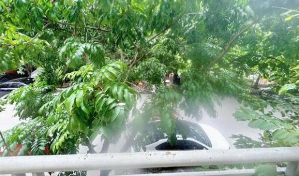 Cần cho thuê Khác 30m²