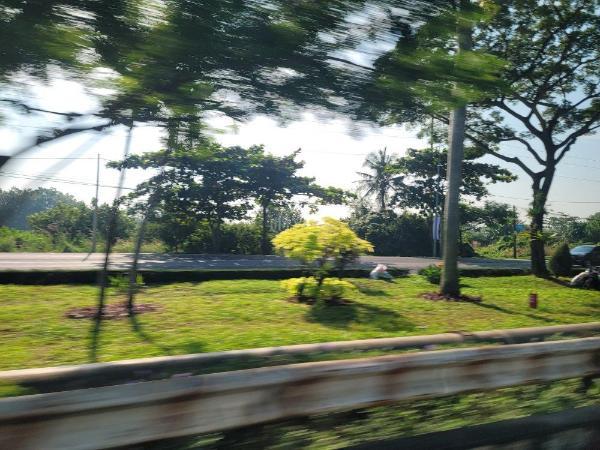 BÁN ĐẤT PHÚ MỸ – 2.928m² SẴN CƠ SỞ TÔN GIÁO - SHR - TL KHÁCH MUA THẬT