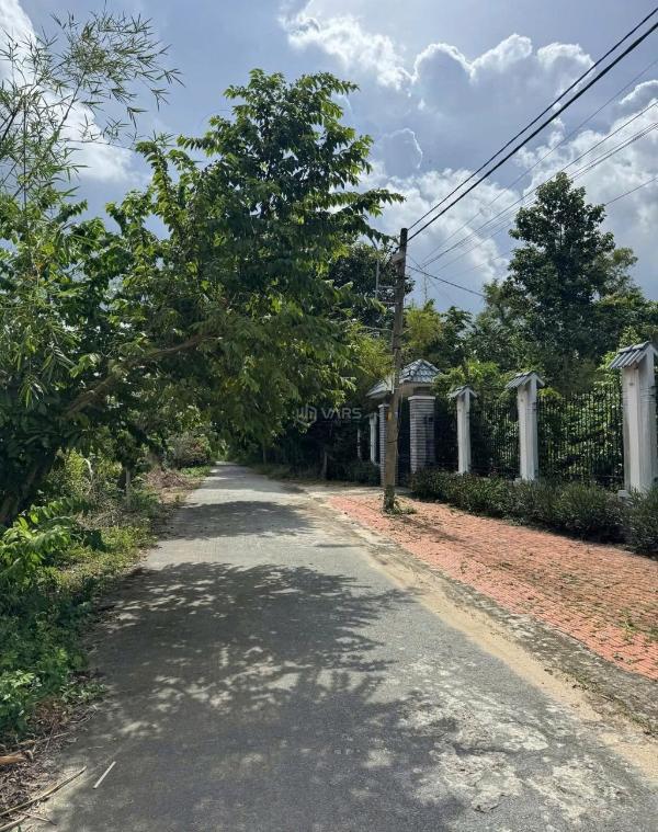 Lô đất vị trí đẹp kdc yên tĩnh cây trôm 🏤 mỹ khánh - thái mỹ - shr