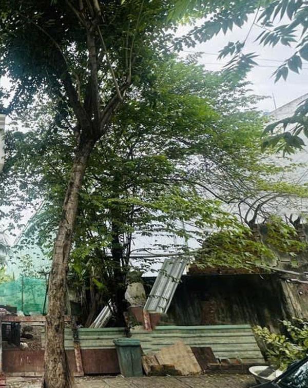 Bán Đất nền riêng lẻ 51m²