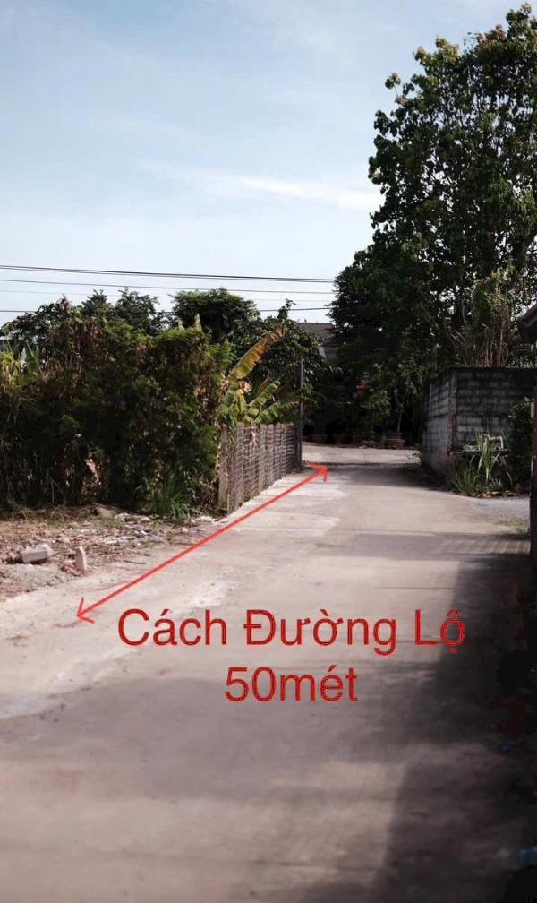 ❌em còn cặp đất 🏢 14x14m cho anh chị xây biệt thự mini, nhà vườn,…