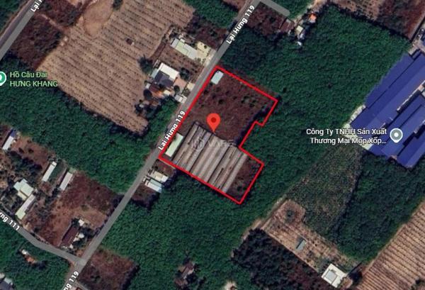 O1768 💖 cho thuê trang trại lai ☘ hưng 119 bình dương, 1.25ha, 20tr/th