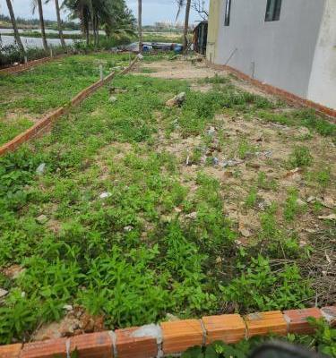 Cần bán lô đất view lúa ngay trung 🔥 tâm đường Cửa Đại, Cẩm Châu,Hội An