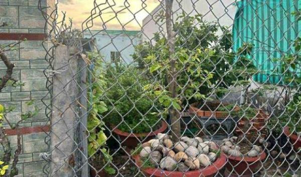 Tôi cần bán gấp lô đất 2 mặt tiền Yết Kiêu , Phường Sơn 🏤 Trà , TP. Đà Nẵng ⭐⭐⭐⭐