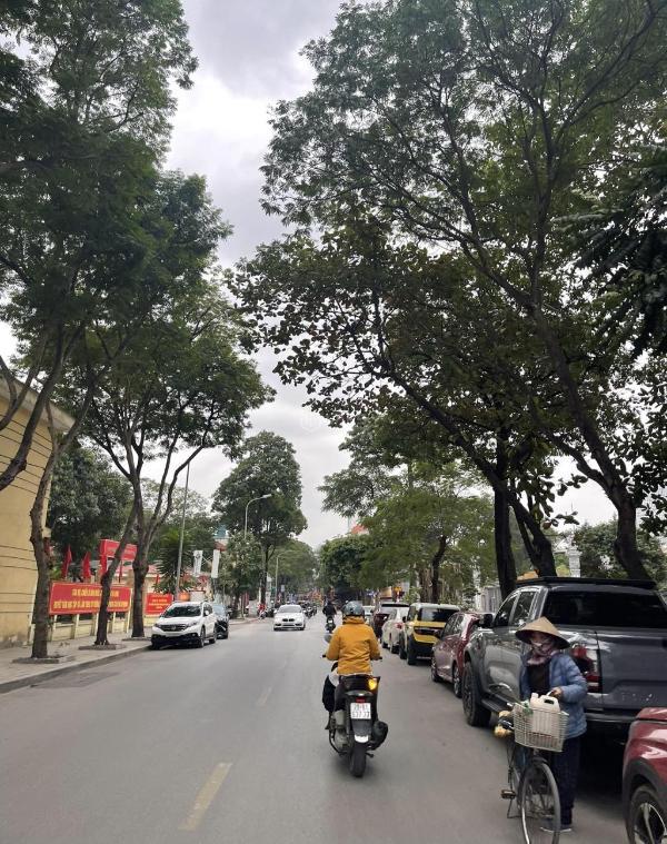 Cần bán Nhà mặt phố 53m²