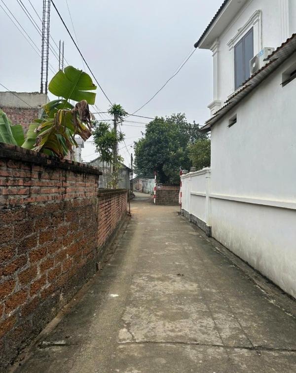 Bán đất 🆘 hạ bằng thạch thất 348m2, 2 mặt tiền, full thổ cư, gần cnc hòa lạc