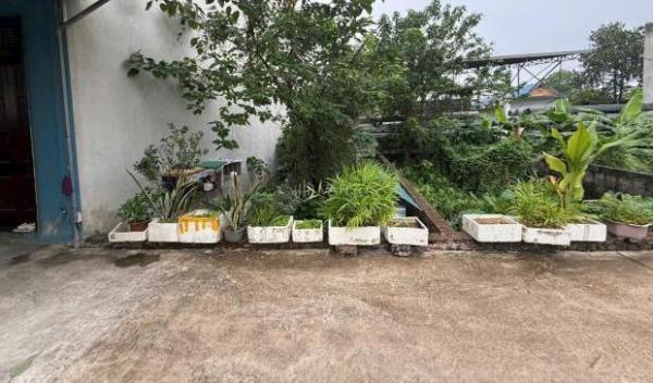 <mark style="background-color: transparent; font-weight: 400; ">Bán Khác 57m²</mark>