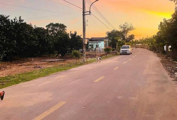 Cần bán Trang trại, nhà vườn 250m²