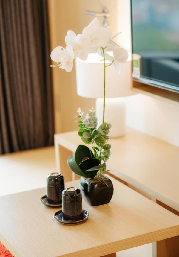 Chủ cần bán Condotel (Căn hộ du lịch) 32.4m²