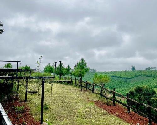 Bán trang trại view đẹp tại Đường Tỉnh lộ 725, Xã Lộc Ngãi, Bảo Lâm, Lâm Đồng, 💥 900 triệu,