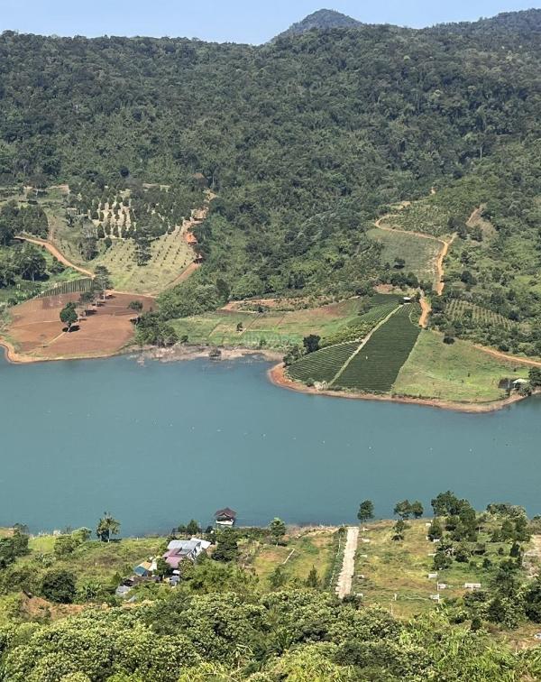 Đất giáp hồ đảo ngọc lộc tân, p 2, bảo lộc - 100m ☘ mặt hồ | 3,2 sào - 750 tr/ sào