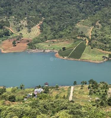 ĐẤT GIÁP HỒ ĐẢO NGỌC LỘC TÂN, 🏚️ P 2, BẢO LỘC - 100M MẶT HỒ | 3,2 SÀO - 750 TRIỆU/SÀO