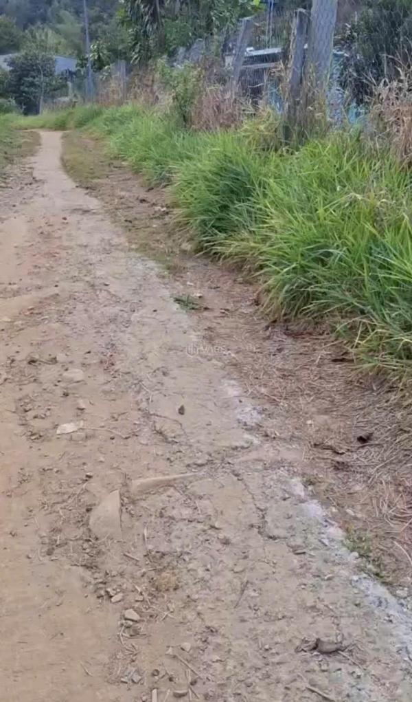 Cần bán Trang trại, nhà vườn 12000m²