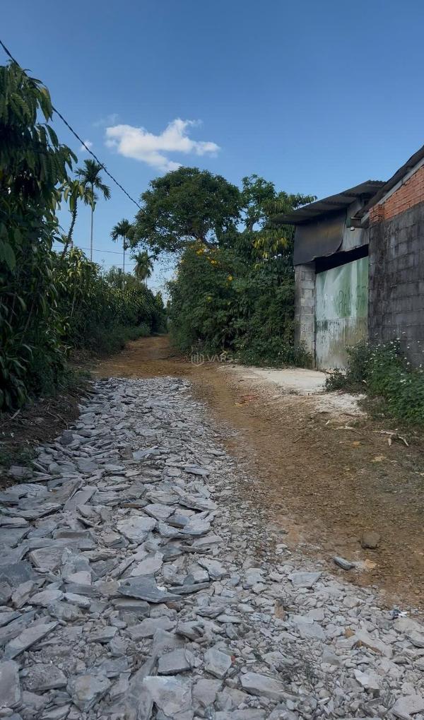 Bán Trang trại, nhà vườn 3300m²