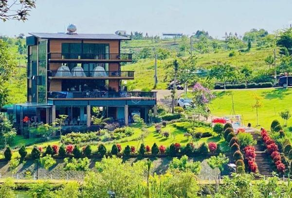 Mở bán view đồi chè tâm 🆘 châu chỉ 500 triệu nhận đất 125m/100tc