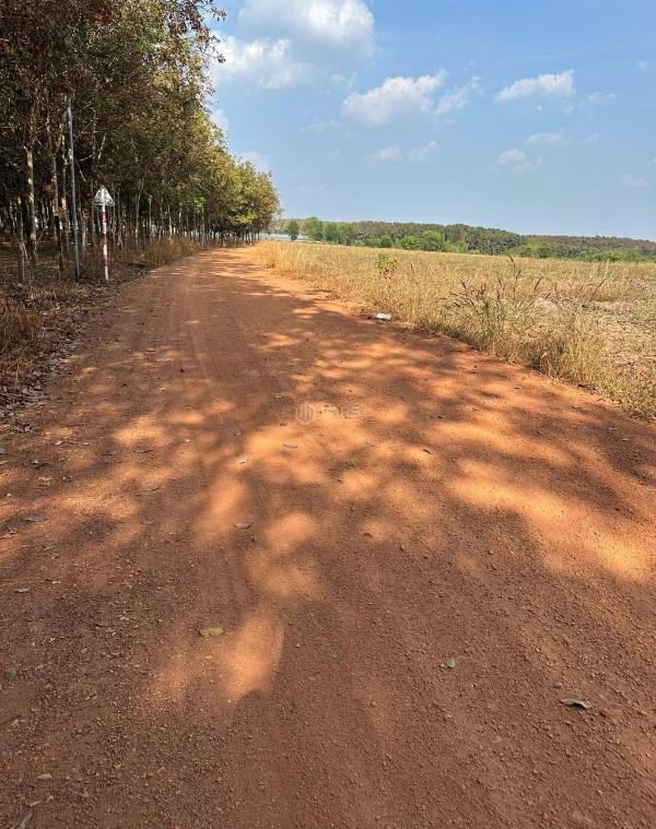 Chính chủ cần bán gấp lô đất 10x100 , sổ sẵn, 🏢 đường 12 m, chỉ 400tr.