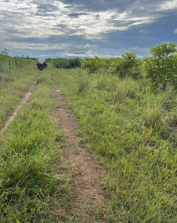 Chính chủ bán ☘ đất nhk đắk lắk mặt tiền đường chính.