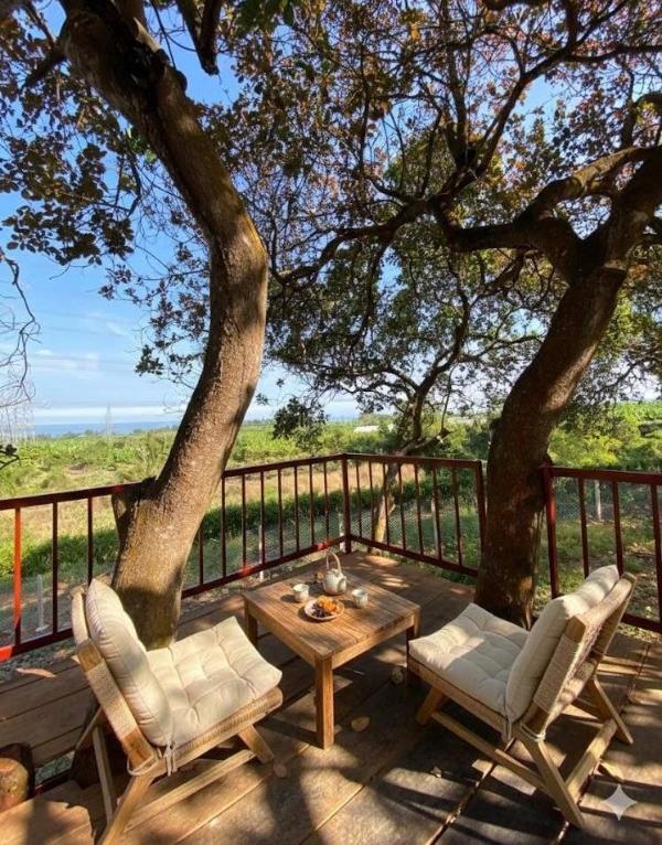 🌿 sở hữu trạm dừng chân bình yên view hồ trị an chỉ với 995 🏣 triệu