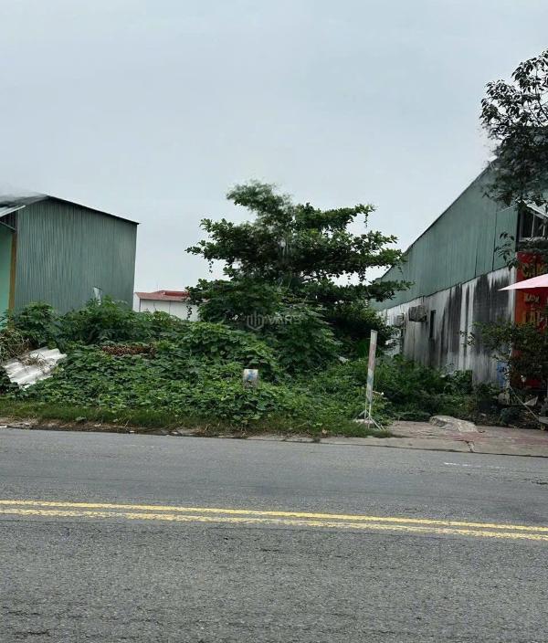 Cần bán Đất nền Dự án 125m²