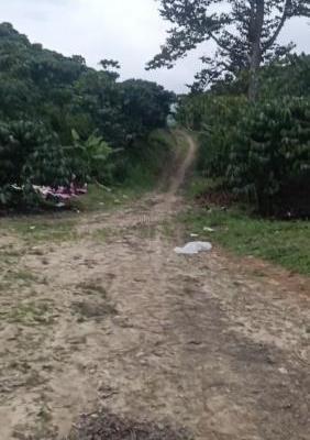 Bán Trang trại, nhà vườn 4700m²