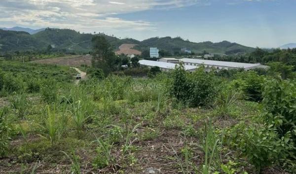 Cần bán Khác 41000m²