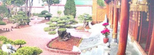 ❇️BÁN BIỆT PHỦ DÁT 🏚️ VÀNG, FULL NỘI THẤT LẠNG GIANG, BẮC GIANG 5800 M2, ĐẲNG CẤP THƯỢNG LƯU