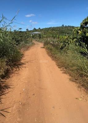 1,5 SÀO = 🏬 950 TRIỆU LỘC ĐỨC, BẢO LỘC, QUY HOẠCH THỔ CƯ, CÁCH LÊ BẢO TỊNH 500M