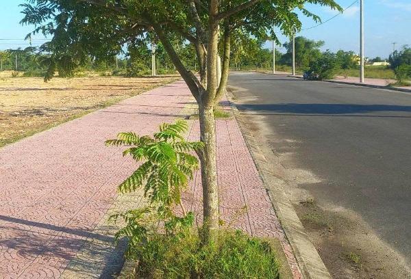 <mark style="background-color: transparent; font-weight: 400; ">150m² gần hội an giá 2,x 🏚️ tỷ đáng mua</mark>