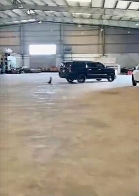 Chủ cần bán Nhà xưởng, nhà kho 16000m²