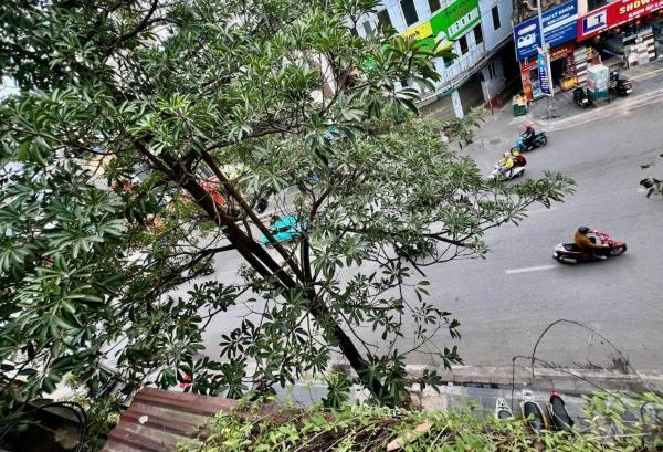 Bán đất 215m2 tặng nhà 5 tầng mặt 💥 phố thanh nhàn, hai bà trưng, hà nội