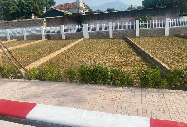 Khu đô thị vệ tinh sóc 🏠 sơn - vị trí cực đẹp - giá tốt - đang ở vùng trũng