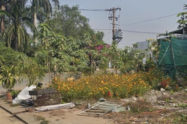 Giá chỉ 4,95 tỷ đất rộng 124m2 long 🔥 phước quận 9 mua là giữ tiền