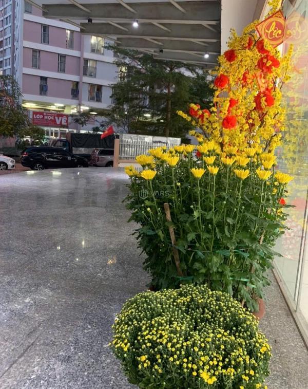 Giỏ hàng nhiều căn đang bán tại hqc plaza, căn góc 🏬 vào ở ngay. l/h 09094*****