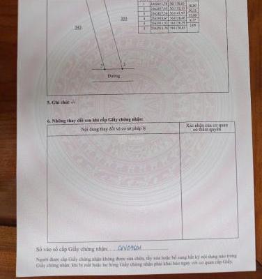 Bán đất 🏦 mặt đường TL 310, Kim Long, Tam Dương, Vĩnh Phúc. DT 555m2