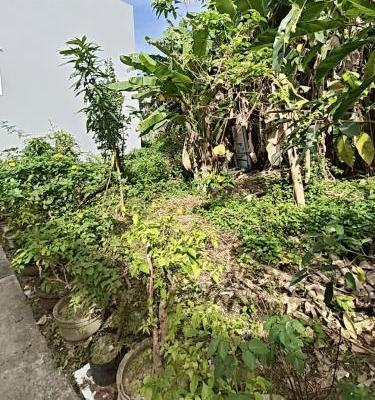 BÁN LÔ ĐÂT 2 MẶT KIỆT, CÁCH ĐƯỜNG CHÍNH CỬA 🔥 ĐẠI CHƯA ĐẾN 100M