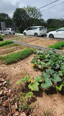 Bán đất Hưng Yên 70m² thổ cư cạnh 🏢 hai dự án lớn khu du lịch và khu công nghiệp.