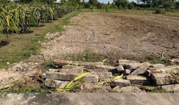 🏡1000m² cây trồng MT bê tông 🌊 Phong Nẫm ❌❌Giá: 1,1 tỉ