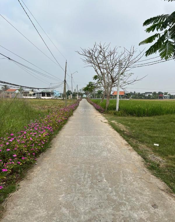 Đất thổ cư 160m2 mt xe hơi xã tân 🏚️ lân chủ cần bán gấp 720tr